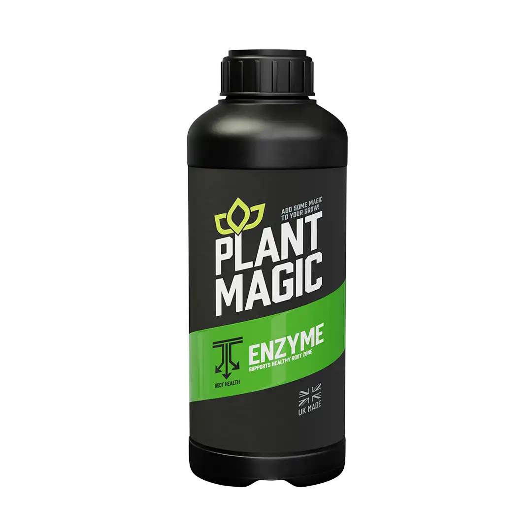 Plant Magic Enzyme