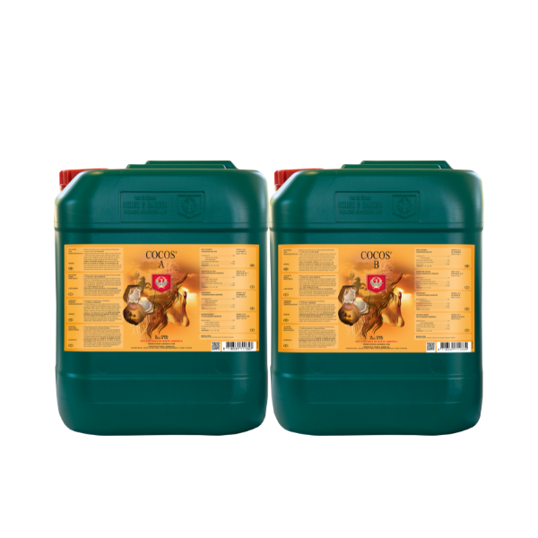 House & Garden Cocos A&B - National Greenhouse