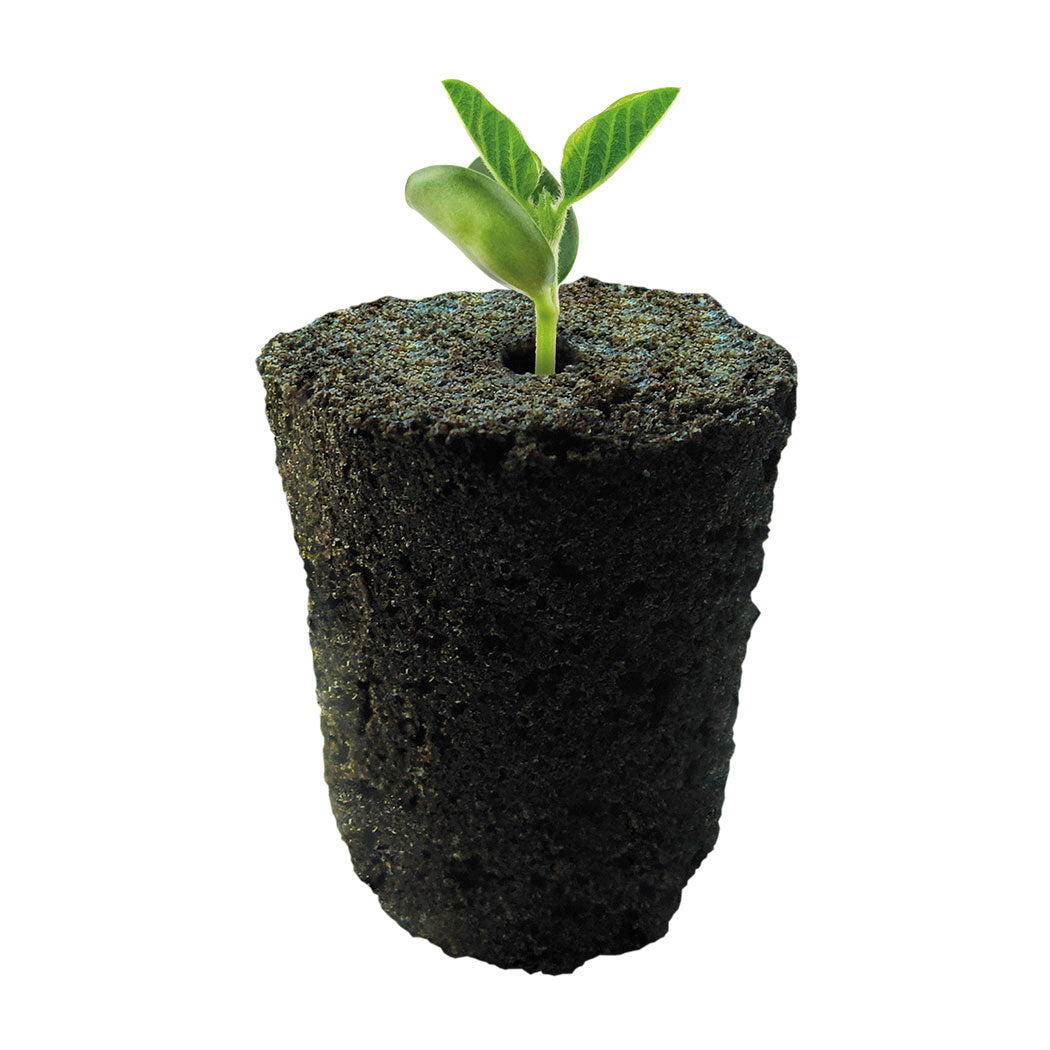 ROOT!T Natural Rooting Sponges 50 Refill Bag - National Hydroponics