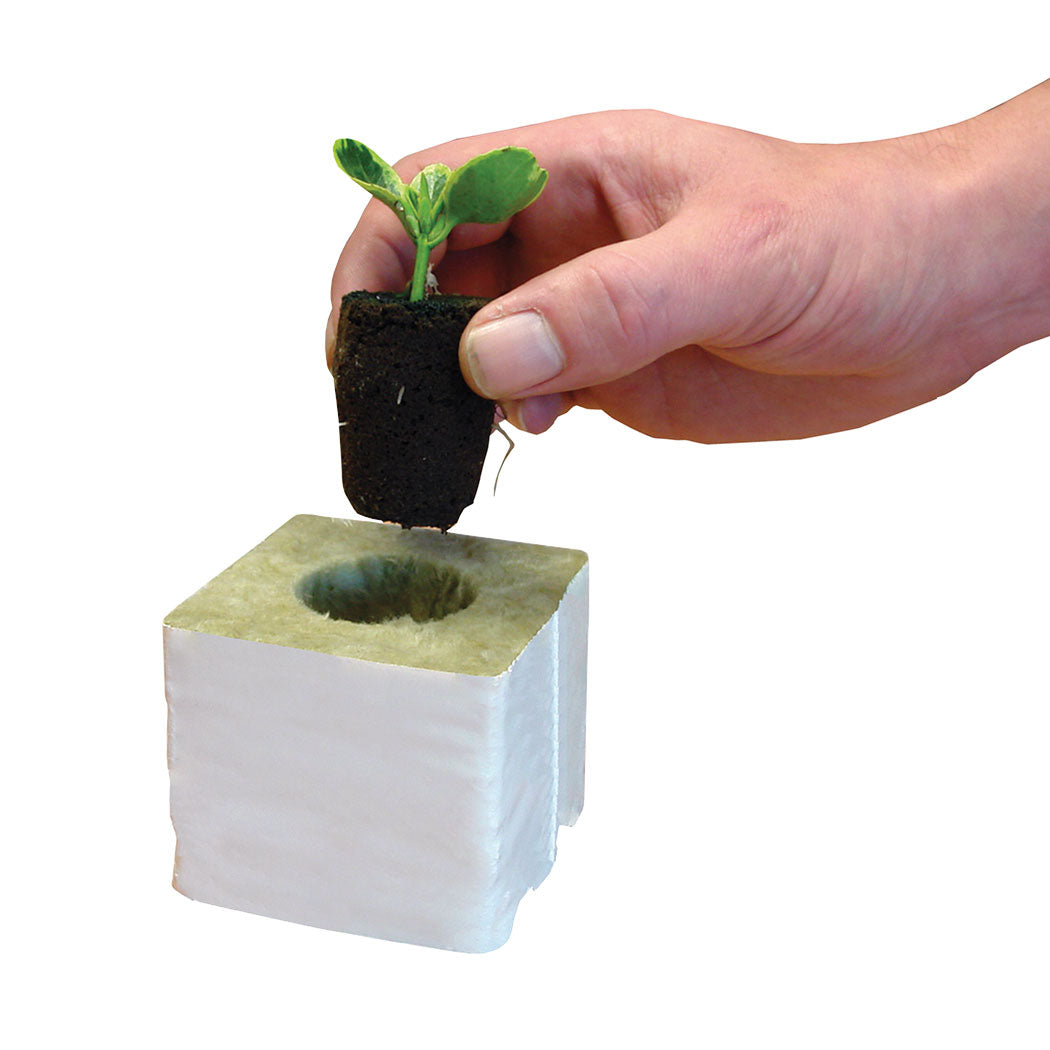 ROOT!T Natural Rooting Sponges 50 Refill Bag - National Hydroponics