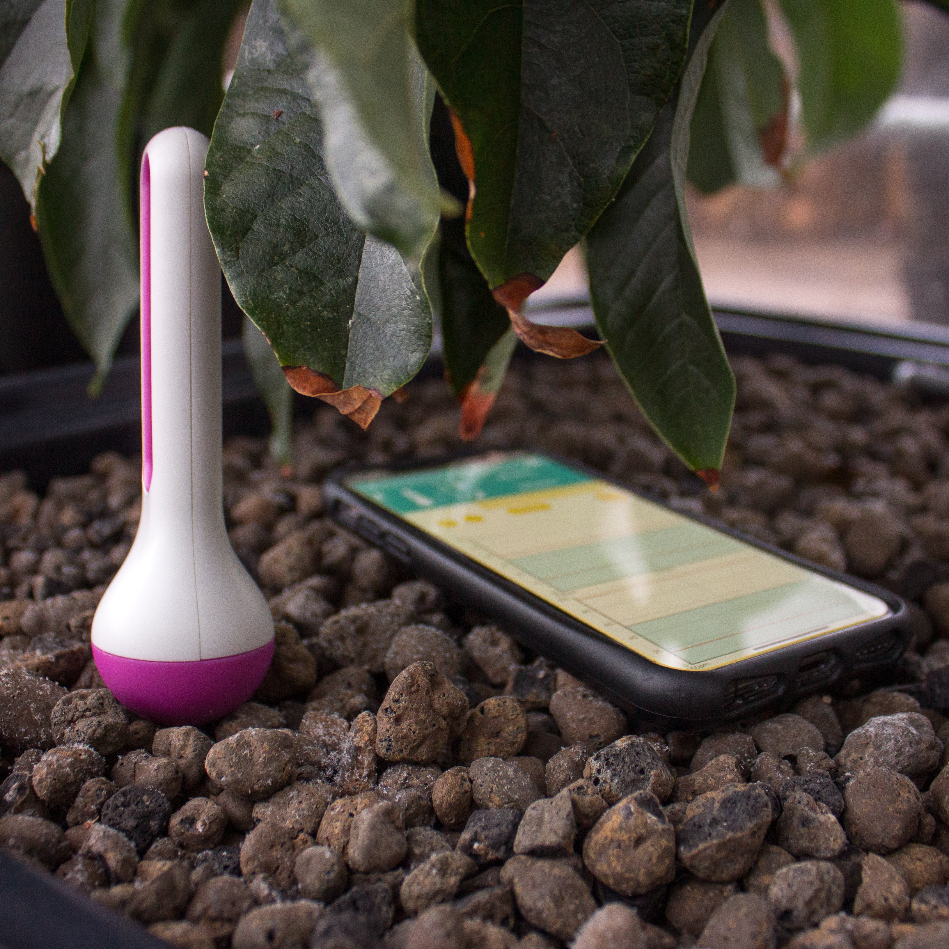 AirComfort Wireless temperature and humidity sensor - National Hydroponics