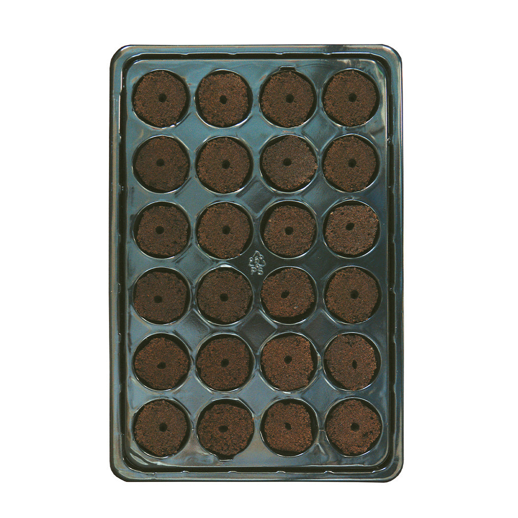 ROOT!T 24 Cell Filled Propagation Insert and Tray - National Hydroponics