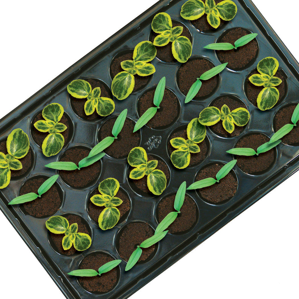 ROOT!T 24 Cell Filled Propagation Insert and Tray - National Hydroponics