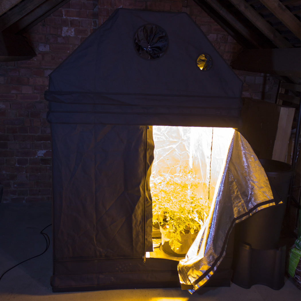 LightHouse LOFT 1.2 x 1.2 x 1.8m - National Hydroponics