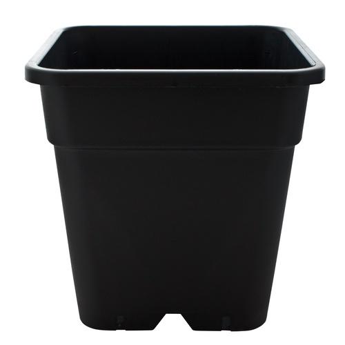 Plastic Square Pot - National Greenhouse