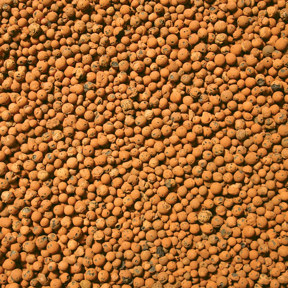 CANNA Aqua Clay Pebbles - National Hydroponics