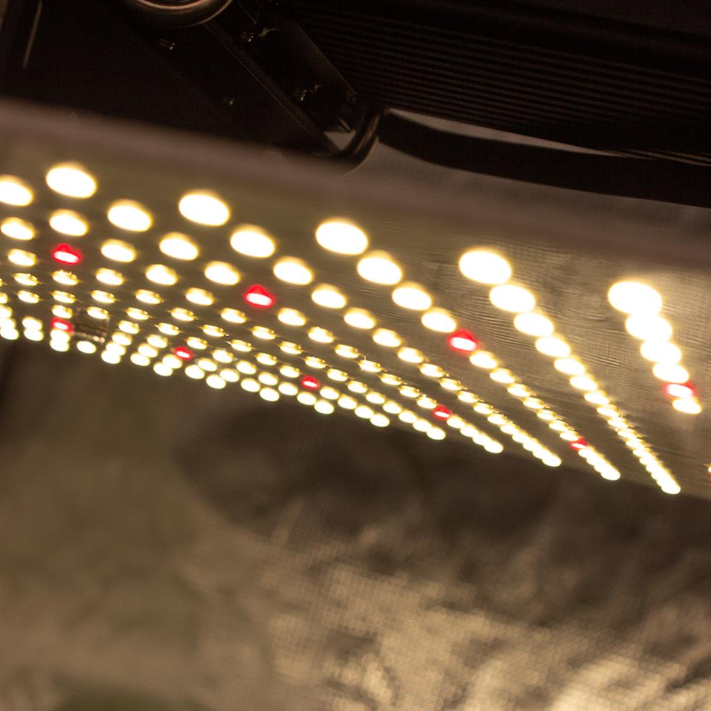 Lumii Black Blade 200w LED