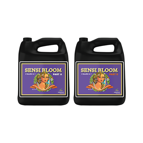 Advanced Nutrients Sensi Bloom A&B - National Hydroponics