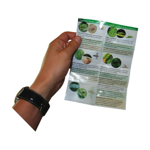Illuminated Microscope 60 - 100x - National Hydroponics