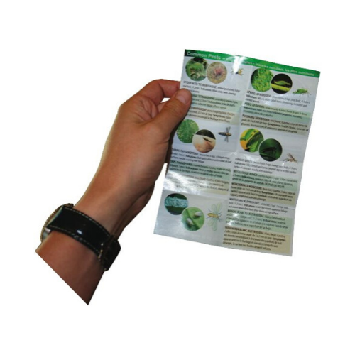 Illuminated Microscope 100x - National Hydroponics