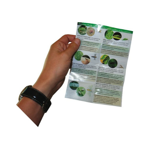 Illuminated Magnifier Loupe (30x) - National Hydroponics