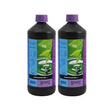 Atami B'Cuzz Hydro A&B - National Hydroponics
