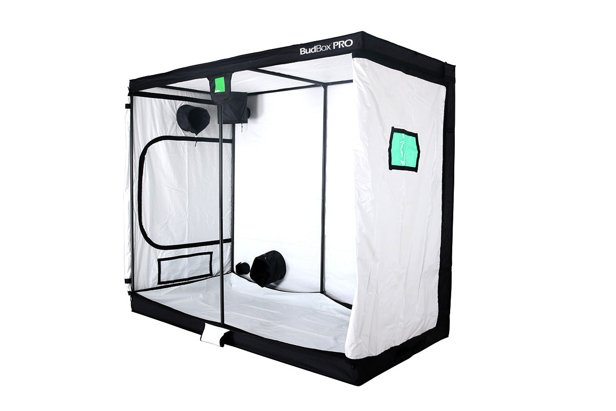 BudBox XXL Grow Tent | 120 x 240 x 200cm