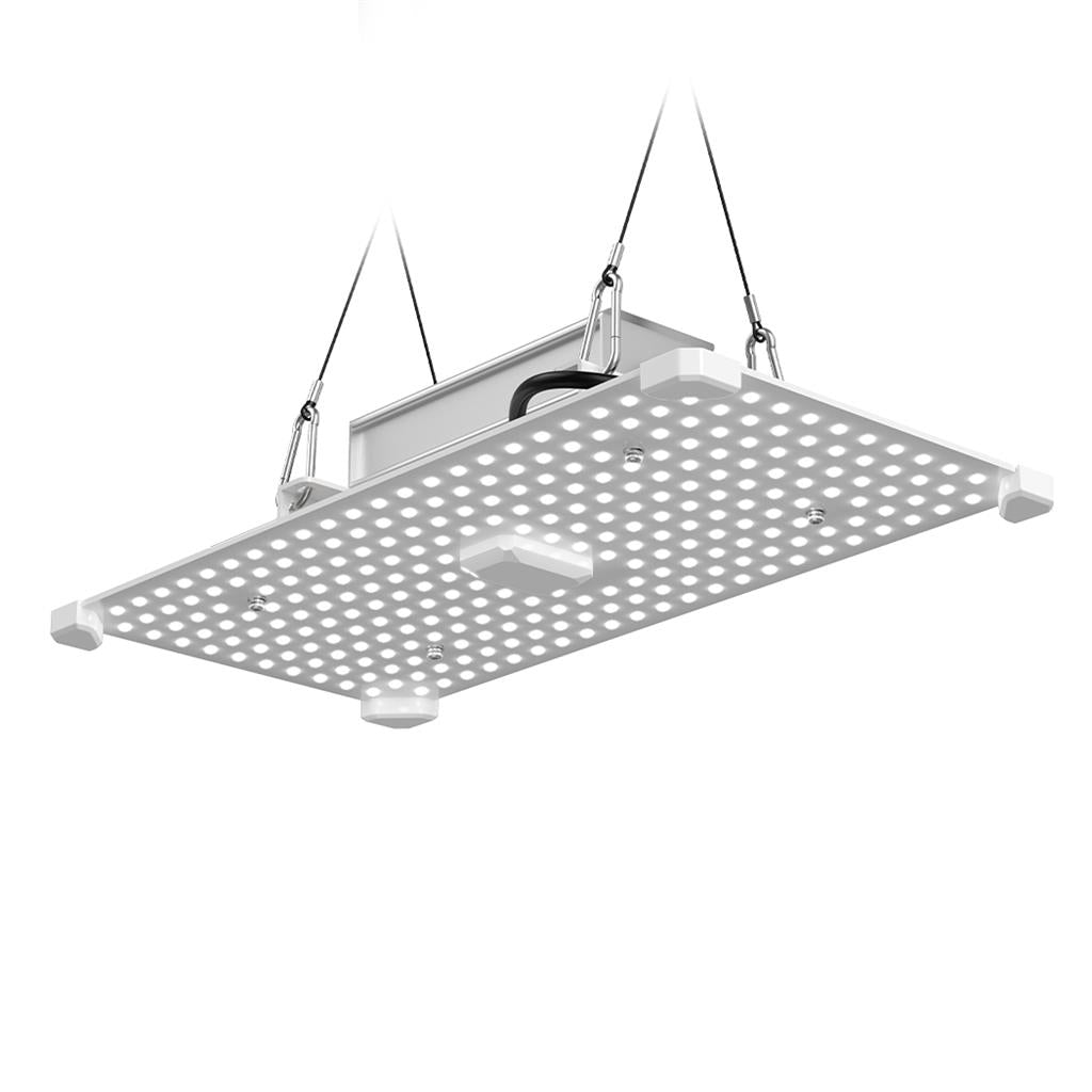 Lumii Black Blade 100w LED