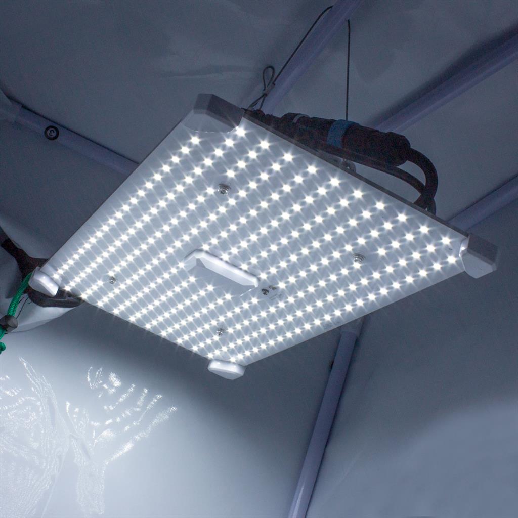 Lumii Black Blade 100w LED