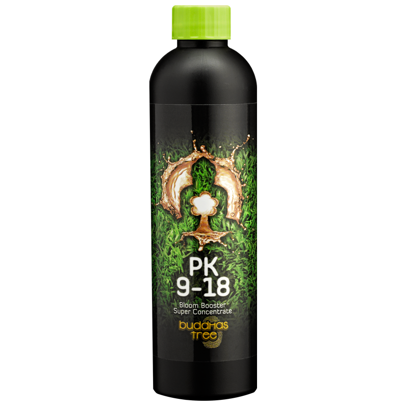 Buddhas Tree PK 9-18 - National Hydroponics