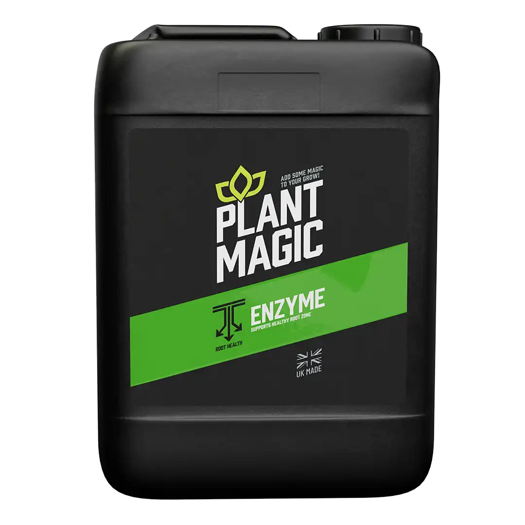 Plant Magic Enzyme